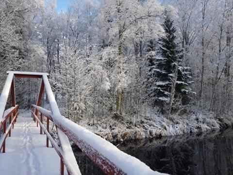Loevanger Kyrkstad Lovanger Exterior foto